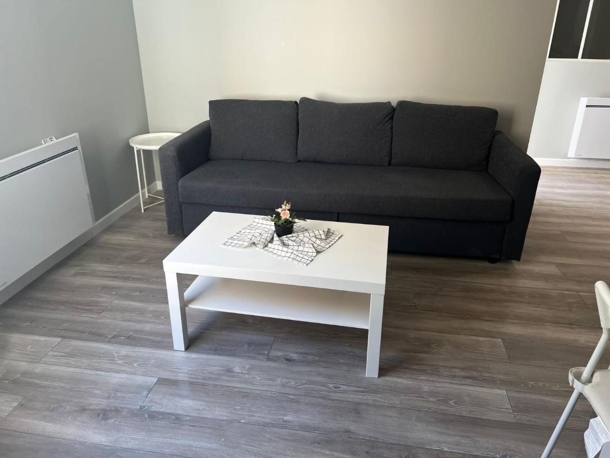 App 1 Mulhouse Centre , 6 Personnes Apartman Kültér fotó