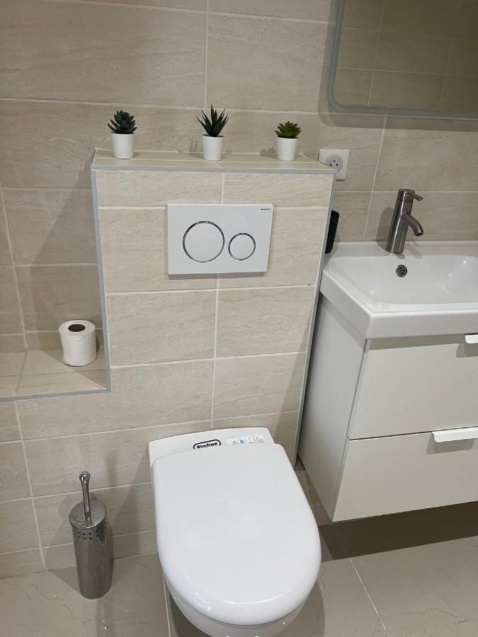 App 1 Mulhouse Centre , 6 Personnes Apartman Kültér fotó